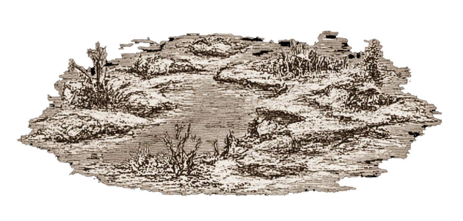 image de background d'un élément cartographique