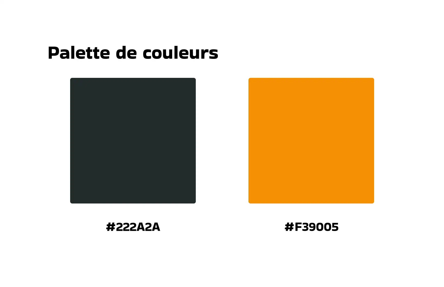 Image avec deux carrés de couleurs pour montrer ma palette de couleurs (le vert et le orange)